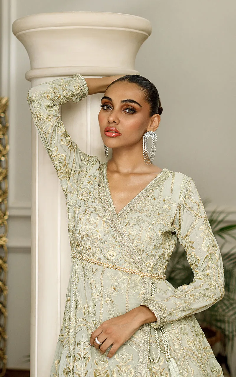 Chiffon Embroidered Angrakha with skirt