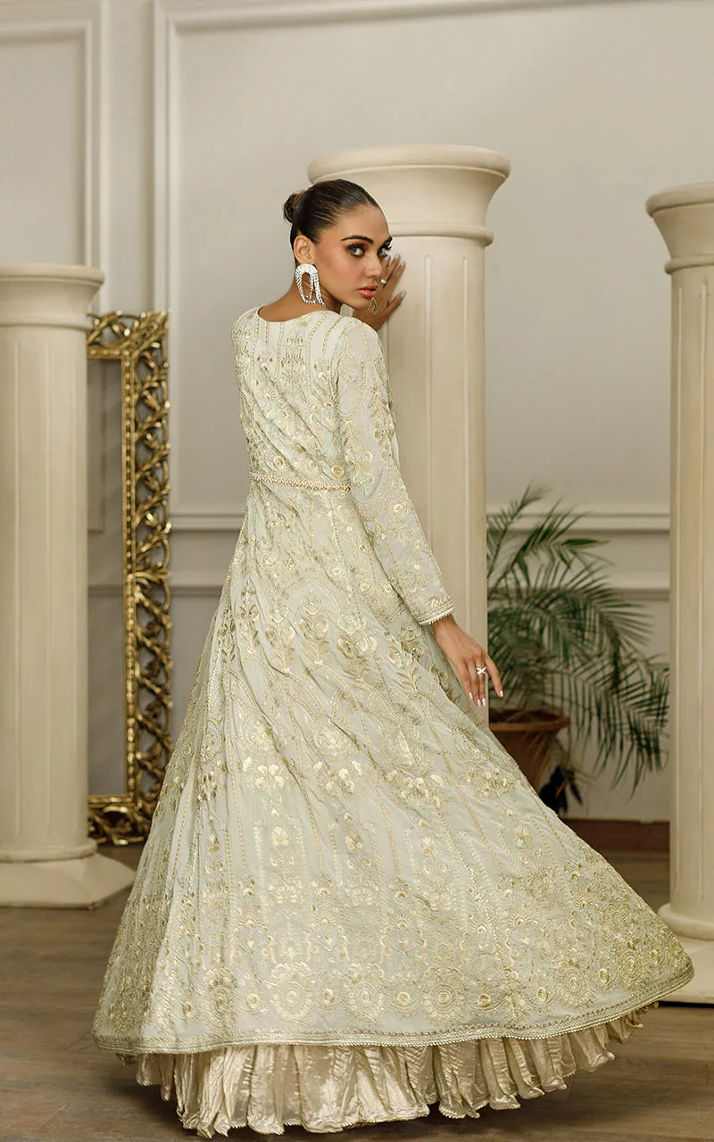Chiffon Embroidered Angrakha with skirt