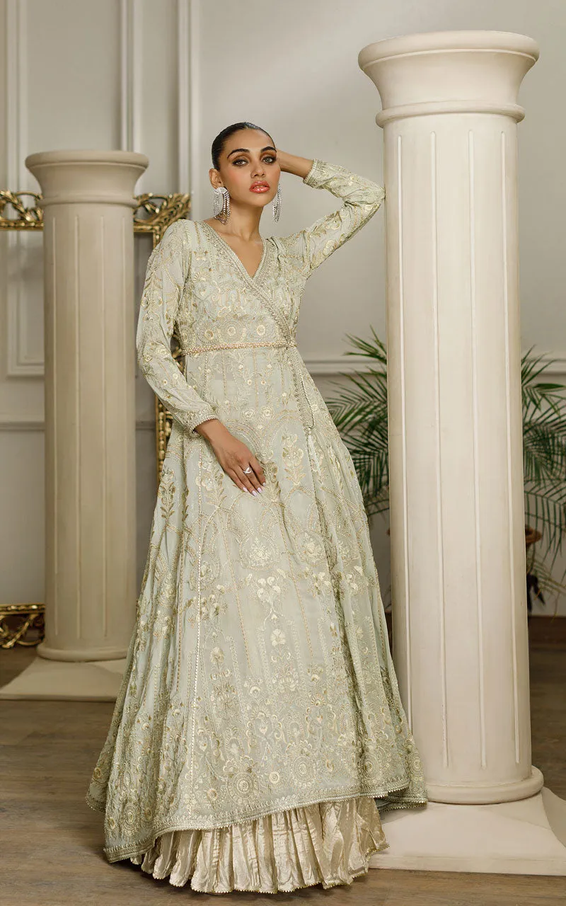 Chiffon Embroidered Angrakha with skirt