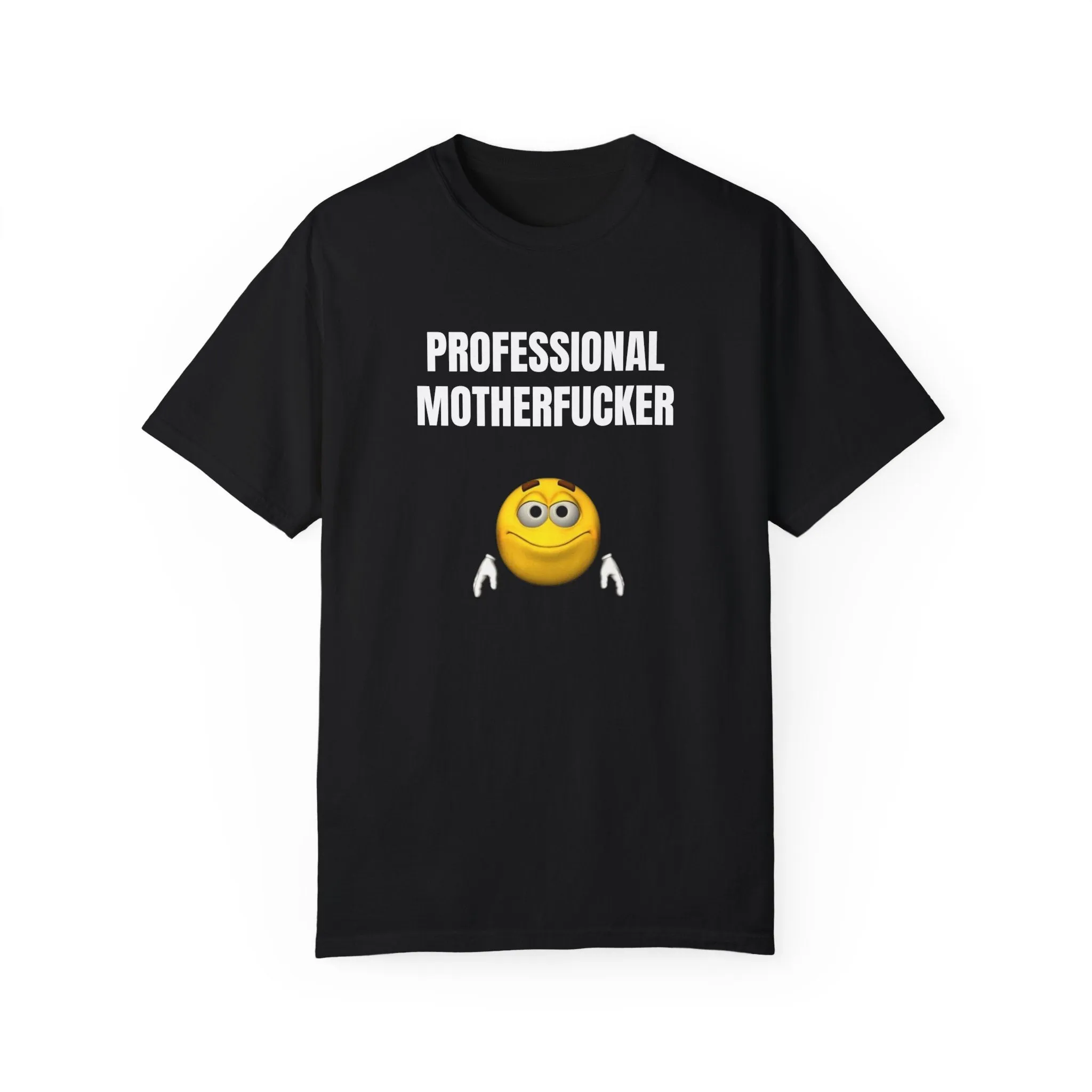 Professional motherfucker T-shirt
